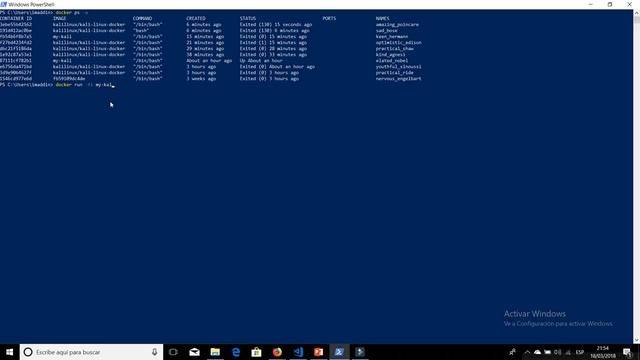 Kali Linux In a Docker container смотреть онлайн