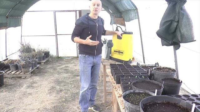 Arroser ses graines de médicinales pour une bonne germination смотреть онлайн
