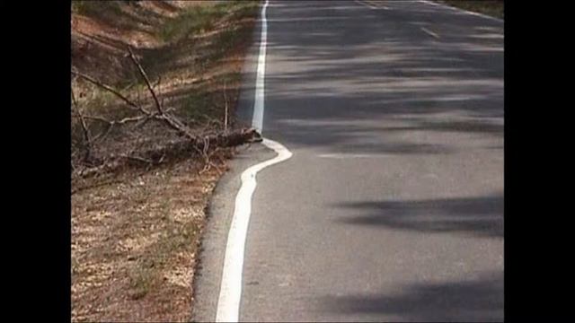 Умом Россию не понять смотреть онлайн