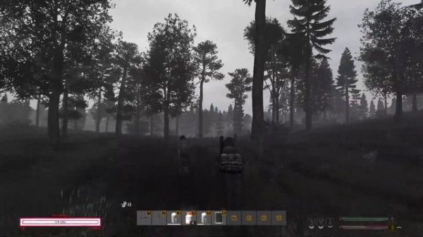 И куда же? .  STALKER Last Road [DayZ RP]