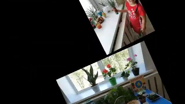 "Познавательное развитие" (Ознакомление с окружающим миром) смотреть онлайн
