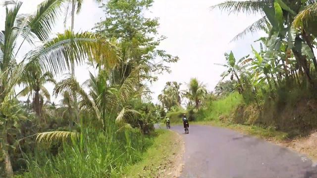 Week 8 -- Bali - Our last week in Ubud смотреть онлайн