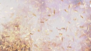 ДОМ-2 После заката 4096 день Ночной эфир (28.07.2015)