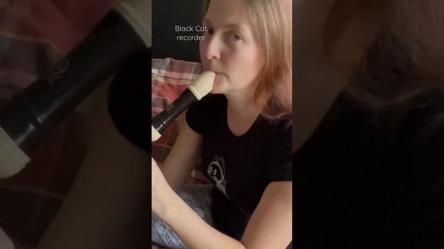 Чёрный кот (музыка Юрия Саульского) - блокфлейта альт смотреть онлайн