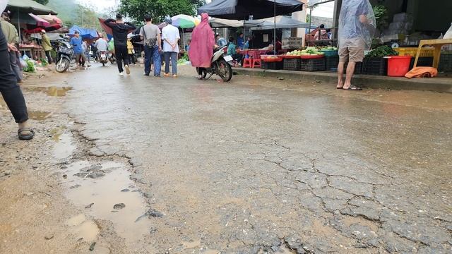 Harvest rambutan, forest, bring to market to sell | Chuc Thi Duong смотреть онлайн