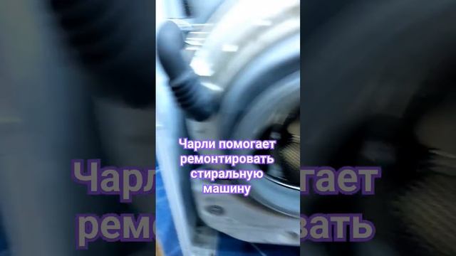 Чарли помогает ремонтировать стиральную машину смотреть онлайн