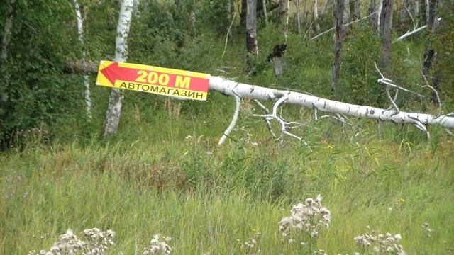 "Челябинск-Байкал": догадались же смотреть онлайн