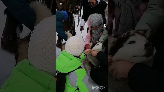 Интеллектуальные игры у индейцев. шаманский инструмент. смотреть онлайн
