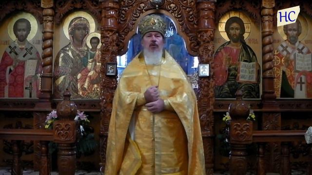 Слово на евангельское чтение от Луки, 8:5-15 смотреть онлайн