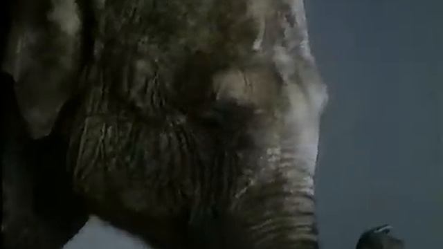 Commodore 64 Advert - Elephant & Mouse смотреть онлайн