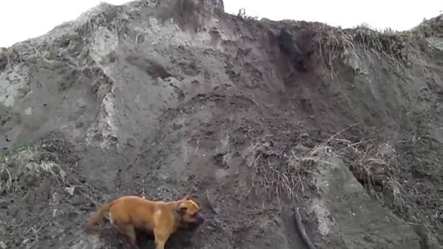 ca de bou climbing смотреть онлайн