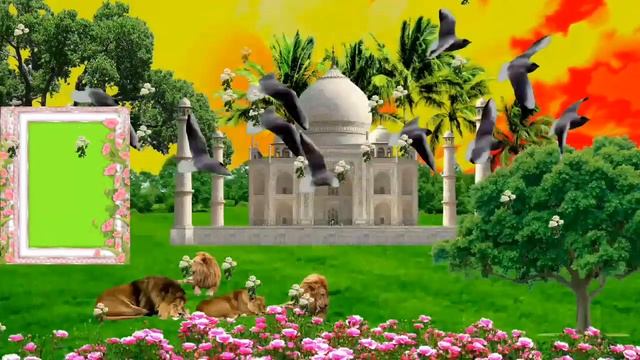 Wedding photo frame green screen effect full hd project & 6 смотреть онлайн