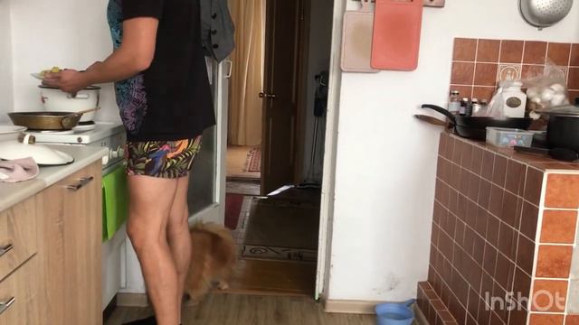 Одна в деревне/ Как прошло 8 марта/ 🌷🌷🌷 смотреть онлайн