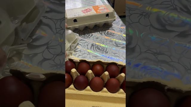 Цветные куриные яйца смотреть онлайн