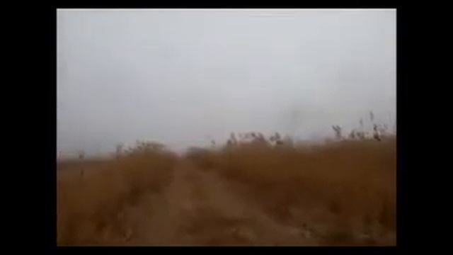 охота на шакала с гончими в камышах смотреть онлайн
