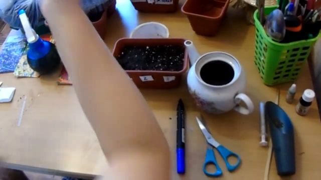 посев семян Львинного зева и Статицы))) смотреть онлайн