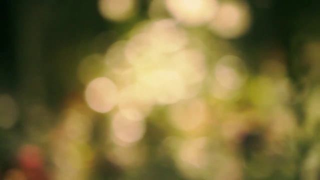 Города, автор Елена Ваенга, исполняет Лаура Дедович смотреть онлайн