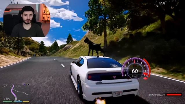 FRANKLİN'E YENİ KÖPEK ALDIM AMA BUNU YAPACAĞINI BİLMİYORDUM! - GTA 5 смотреть онлайн