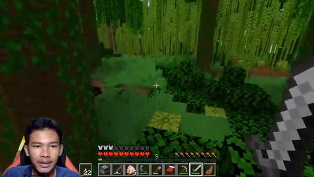 [ ?Livestream ] Survival Mengalahkan EnderDragon - Minecraft 1.19 Java Edition Bahasa Indonesia #1 смотреть онлайн