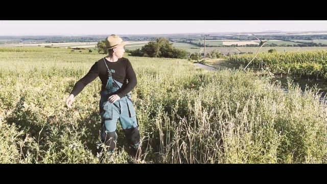 Václav Michlovský : Ta naše смотреть онлайн