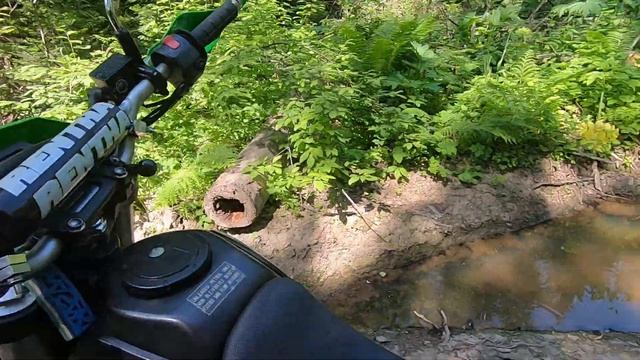 Покатушки по тайге. Kawasaki KLX250. Эндуро.