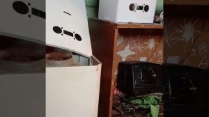 Счётчик на воду дёргается. почему?!