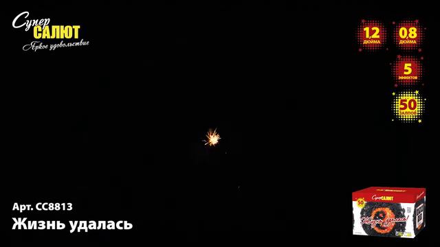 СС8813 Жизнь удалась 50 залпов смотреть онлайн