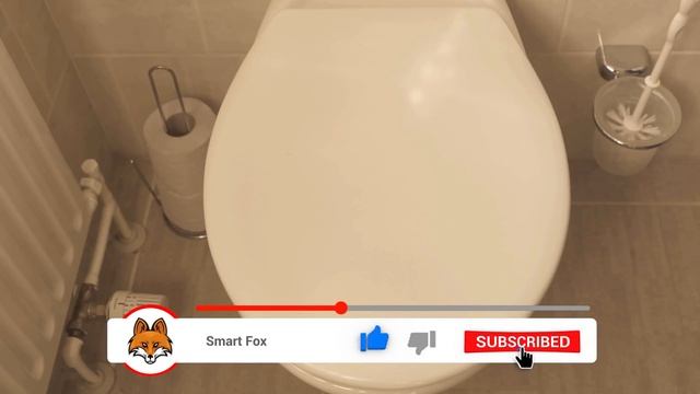 Dump WASHING POWDER into your Toilet and WATCH WHAT HAPPENS ? смотреть онлайн