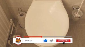 Dump WASHING POWDER into your Toilet and WATCH WHAT HAPPENS ?