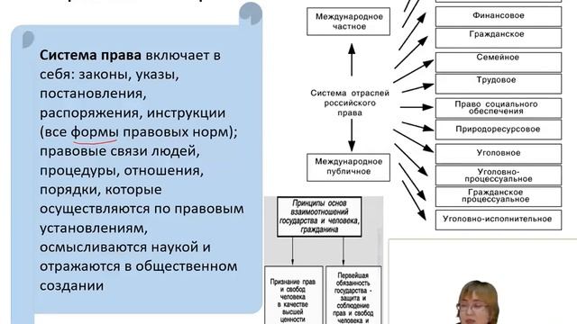 "Подготовка к ЕГЭ и ОГЭ по обществознанию #10" смотреть онлайн