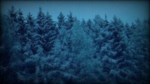 ИГРА В КОСТИ! Страшные Истории На Ночь