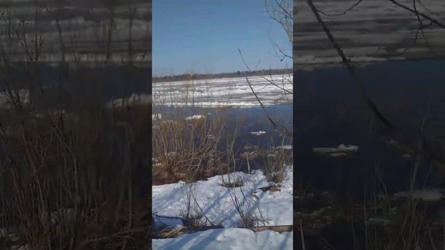 Ледоход на реке Печора...... смотреть онлайн