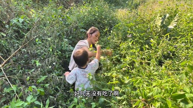 最近忙着跑果园又忽略了菜园，菜长出来了又被鹅吃了！ смотреть онлайн