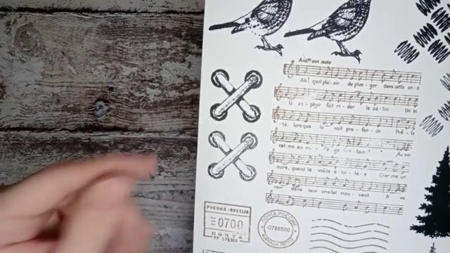 Обзор дизайнерской посылки от бренда Белый Ворон / Скрапбукинг / Фотополимерные штампы смотреть онлайн