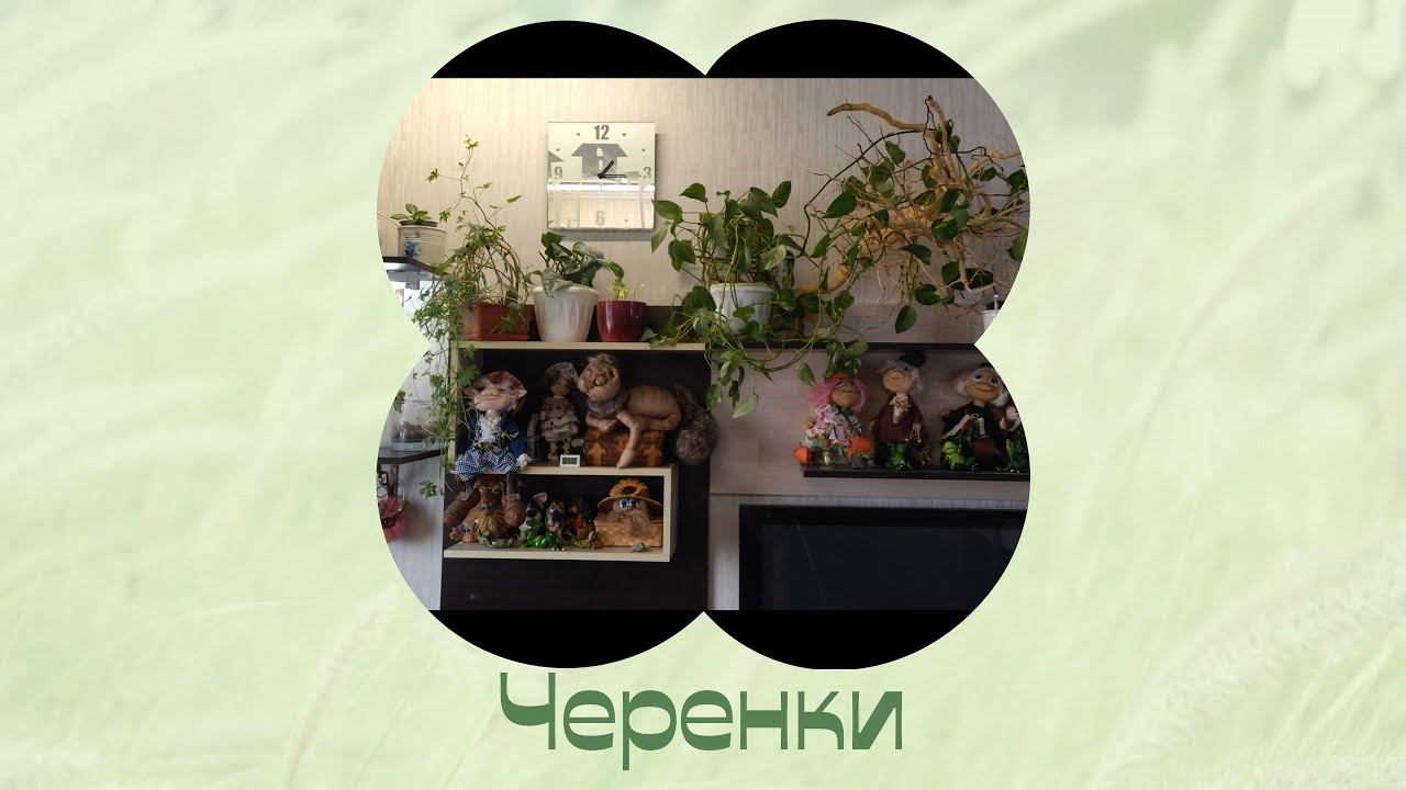 Проверяю черенки на корнеобразование и сажаю. смотреть онлайн