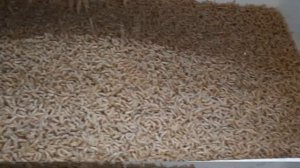 ХРАНЕНИЕ РЫБОЛОВНОГО ОПАРЫША