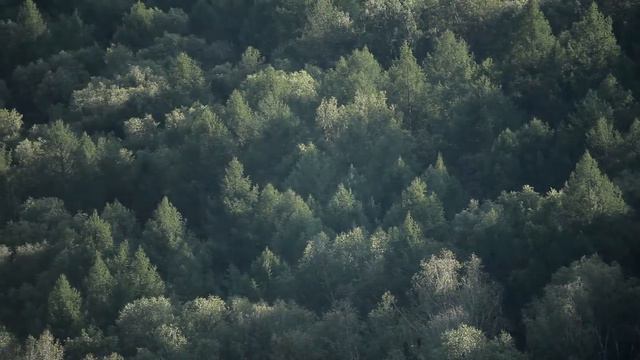 Денисова пещера 23 08 2012 часть 1 смотреть онлайн