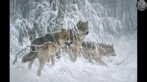 СХВАТКА В ЗИМНЕЙ ТАЙГЕ ОХОТНИКА С ВОЛЧЬЕЙ СТАЕЙ. ЧАСТЬ 4.