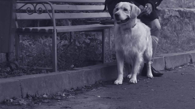 Oкеан Ельзи - На лінії вогню смотреть онлайн