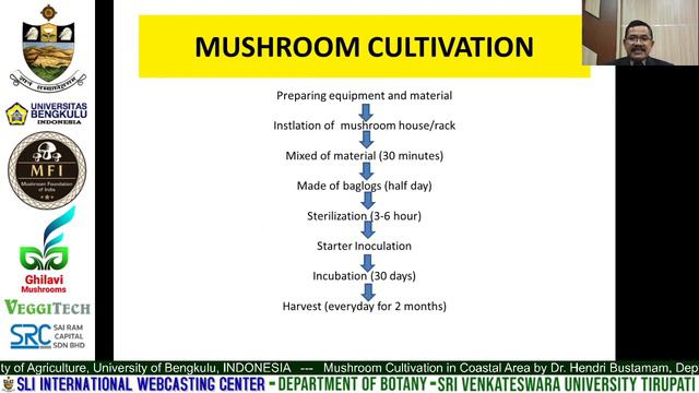 Mushroom Cultivation in Coastal Area Indonesia | Dr. Hendri Bustamam | University of Bengkulu смотреть онлайн