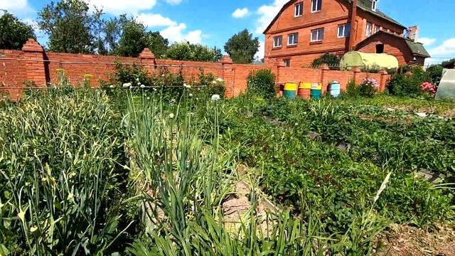 VLOG: На даче с мамой/ ВЫБИРАЕМ обои Даше в квартиру смотреть онлайн