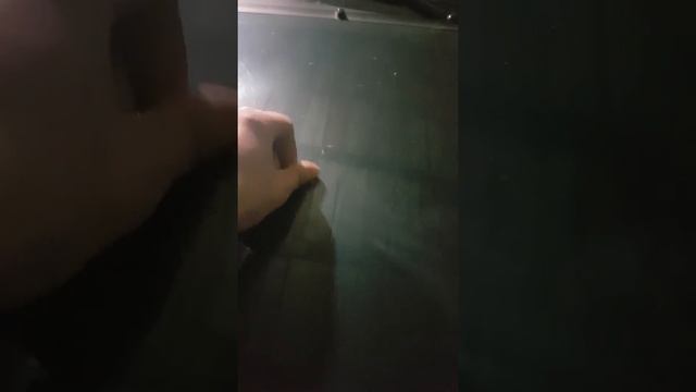 Удаление древесной смолы от кузова автомашины. смотреть онлайн