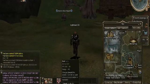 Lineage 2 - gameplay music video смотреть онлайн