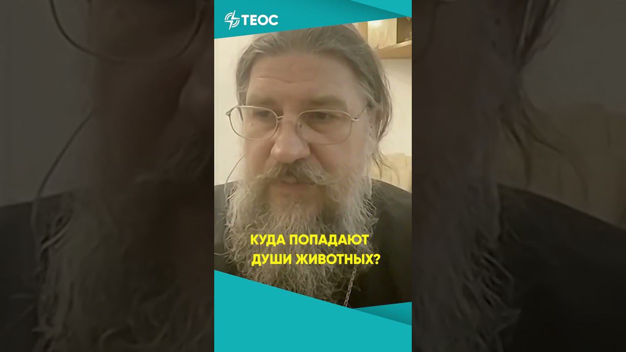 Куда попадают души животных? смотреть онлайн