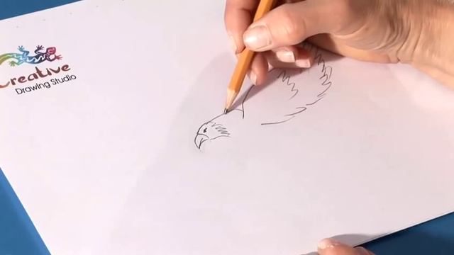 How To Learn To Draw An Eagle смотреть онлайн