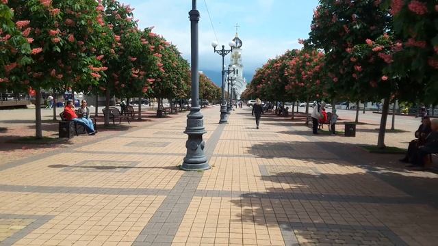 #Новороссийск. Красота на улицах. Цветут каштаны - белые красные))) смотреть онлайн