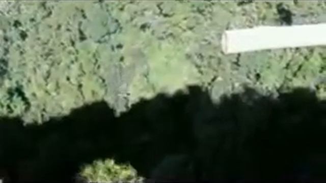 Me, falling off a cliff смотреть онлайн