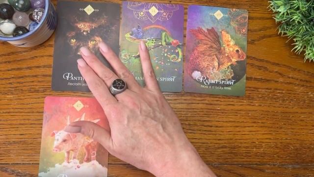 Deck Review & Interview: The Spirit Animal Oracle | Witchcraft смотреть онлайн