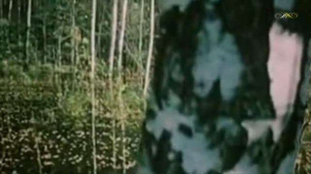 Анна Ахматова - Приморский сонет смотреть онлайн