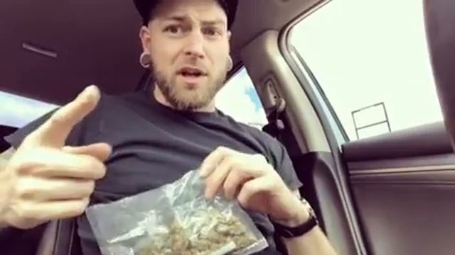 Ten Second Check In #448 Road Weed Comic Life смотреть онлайн